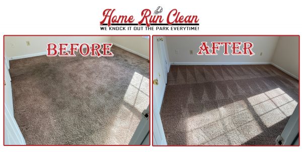 carpet cleaning clay city